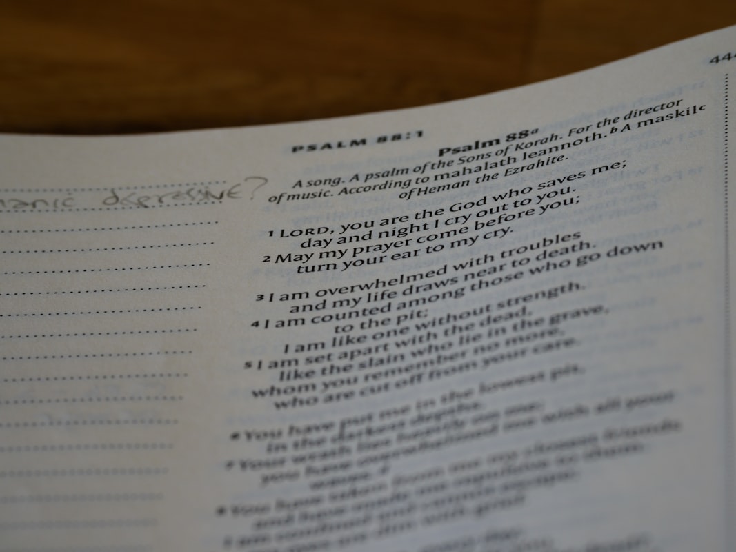 Nutritionist creating a personalized weekly meal schedule with a notebook and healthy foods